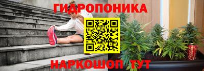 гидропоника Канаш