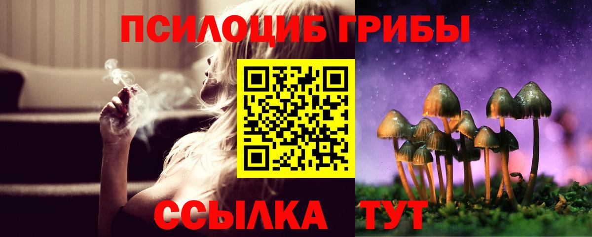Галлюциногенные грибы прущие грибы  Вход с VPN  Мичуринск 